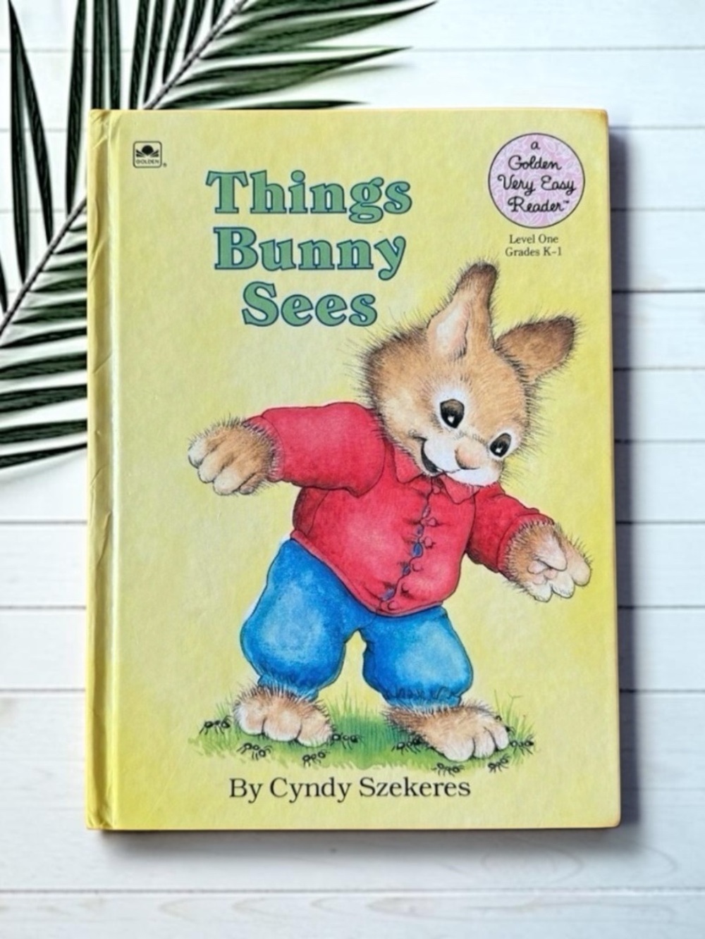 Vintage 1990 Things Bunny Sees - Golden Very Easy Reader - Cyndy Szekeres